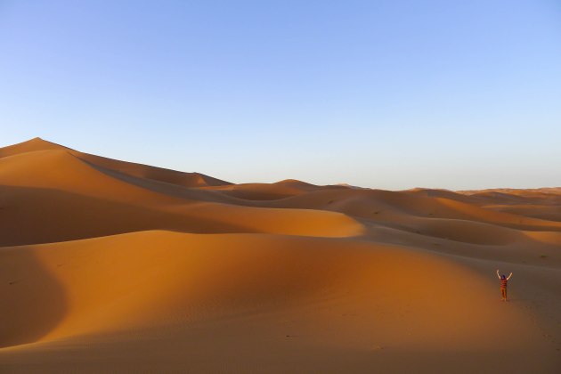 Dunes in the Sahara